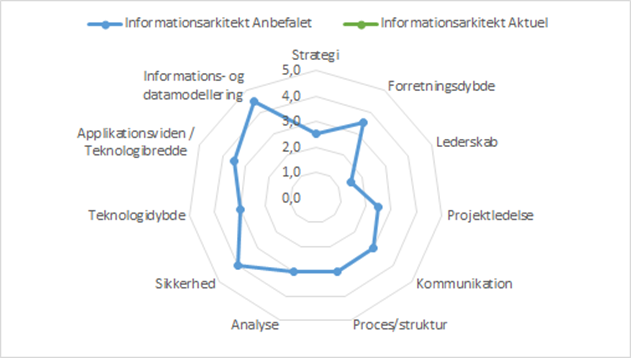 Kompetence Profil Informationsarkitekt