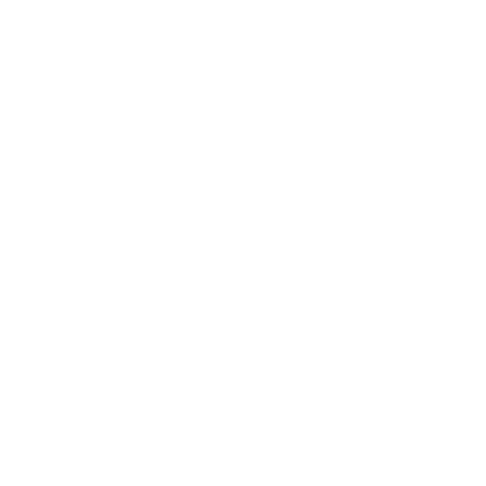 DANSK IT logo hvid