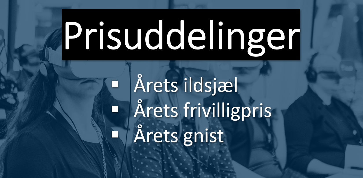 DANSK IT uddeler tre priser: Her er de danske it-personer, der hædres