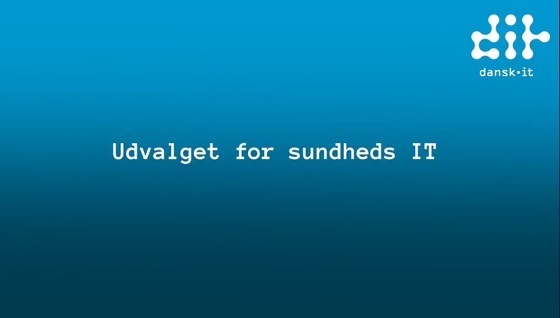 Udvalget for sundheds IT, Dansk IT